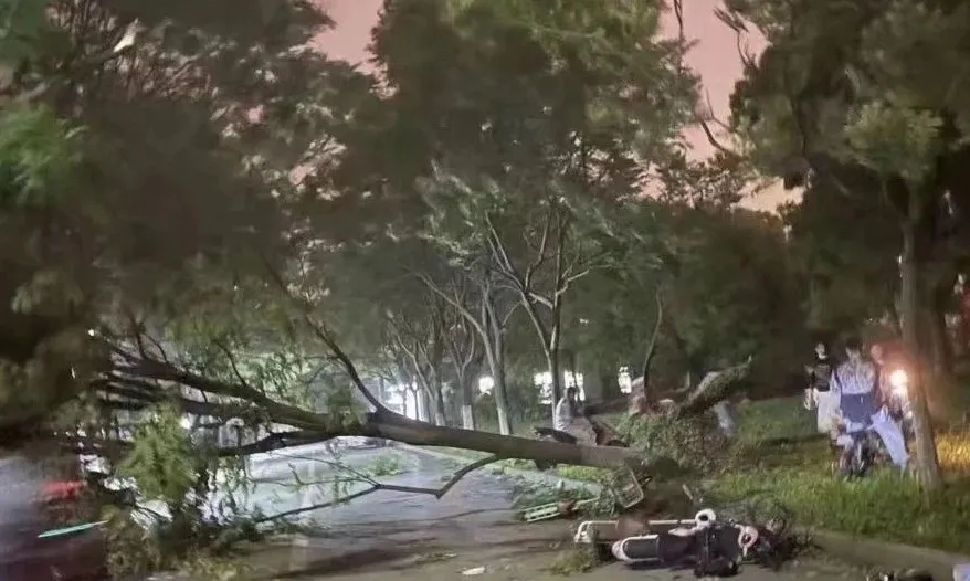 江蘇南通等地遭遇大風.webp