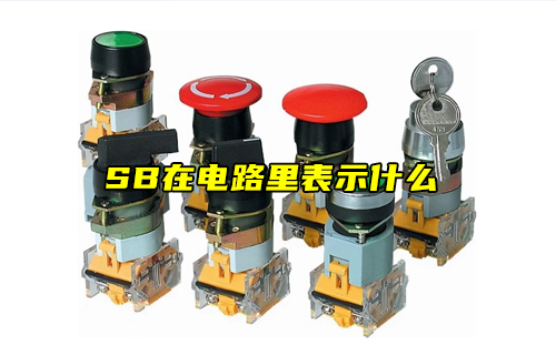 【科普視頻】SB在電路里表示什么？