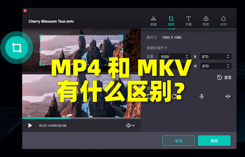 【科普視頻】MP4和MKV有什么區(qū)別？