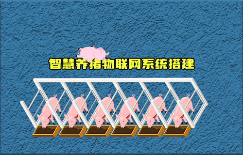 【科普視頻】智慧養(yǎng)豬物聯(lián)網(wǎng)系統(tǒng)如何搭建？有什么功能？